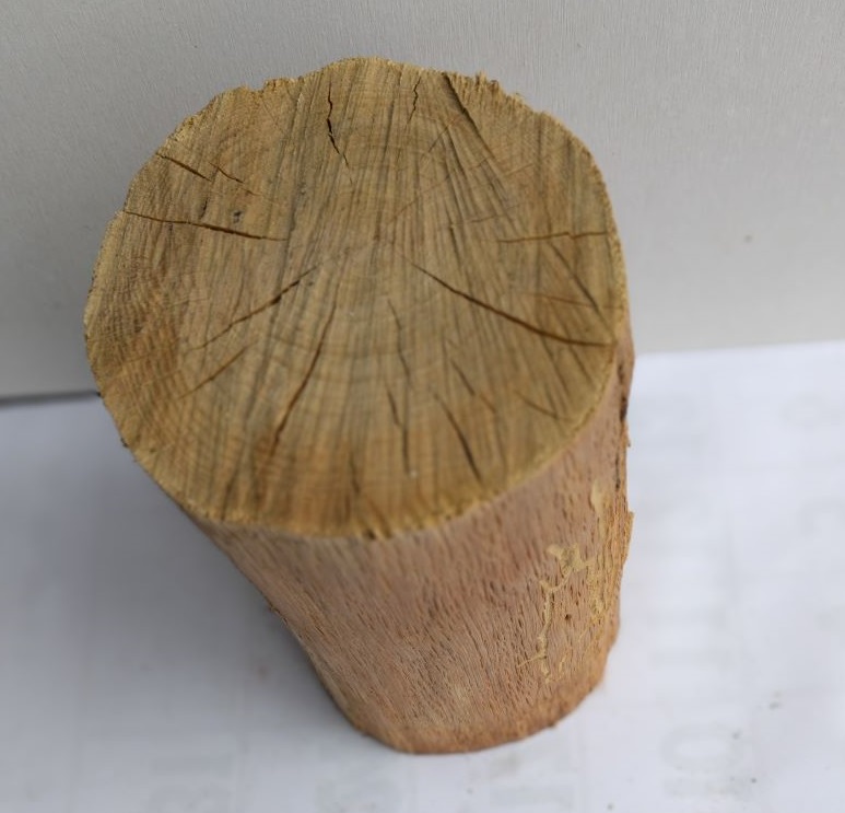 針葉樹丸太薪 企画！ | 軽井沢暖炉の薪ストーブブログ